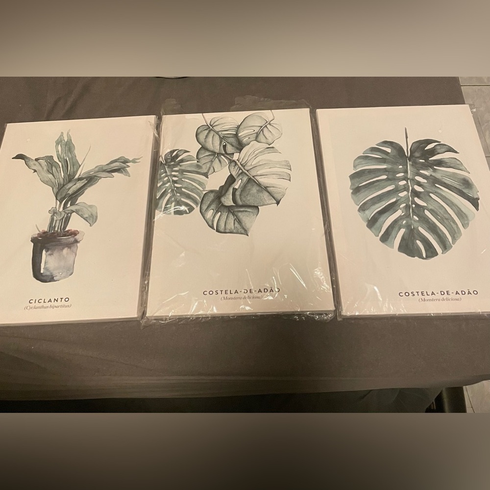 NWT Canvas for Painting - Sets of 3